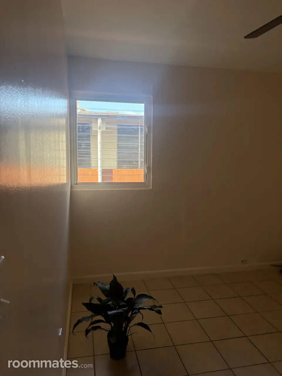 Profile photo 2 of 16