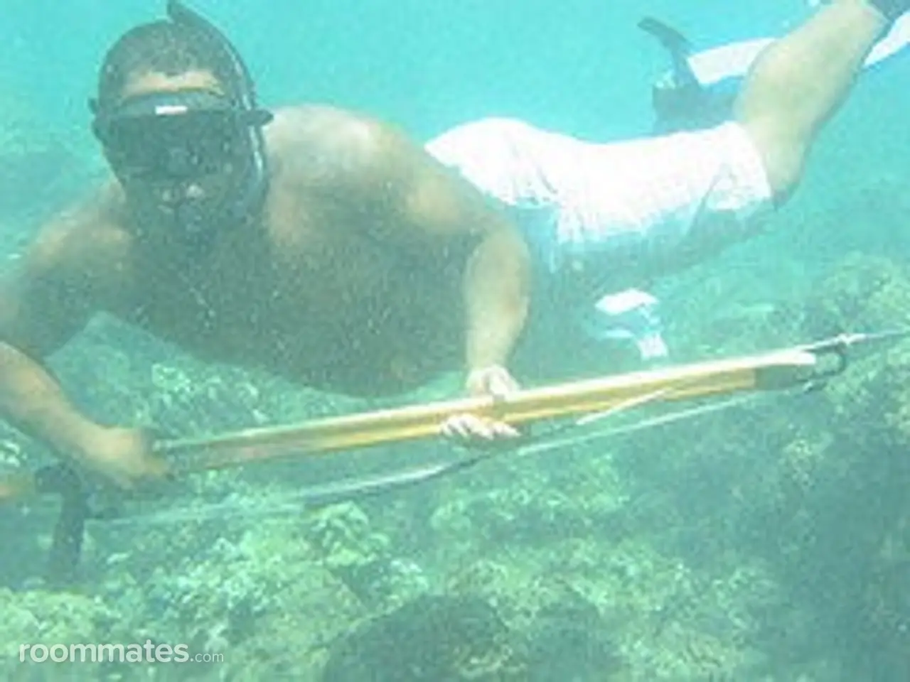 Profile photo 16 of 16