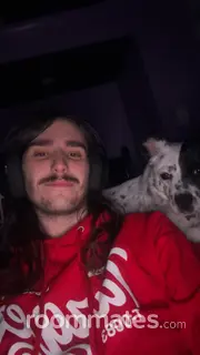 Roommate looking Fort Wayne, IN, $1000