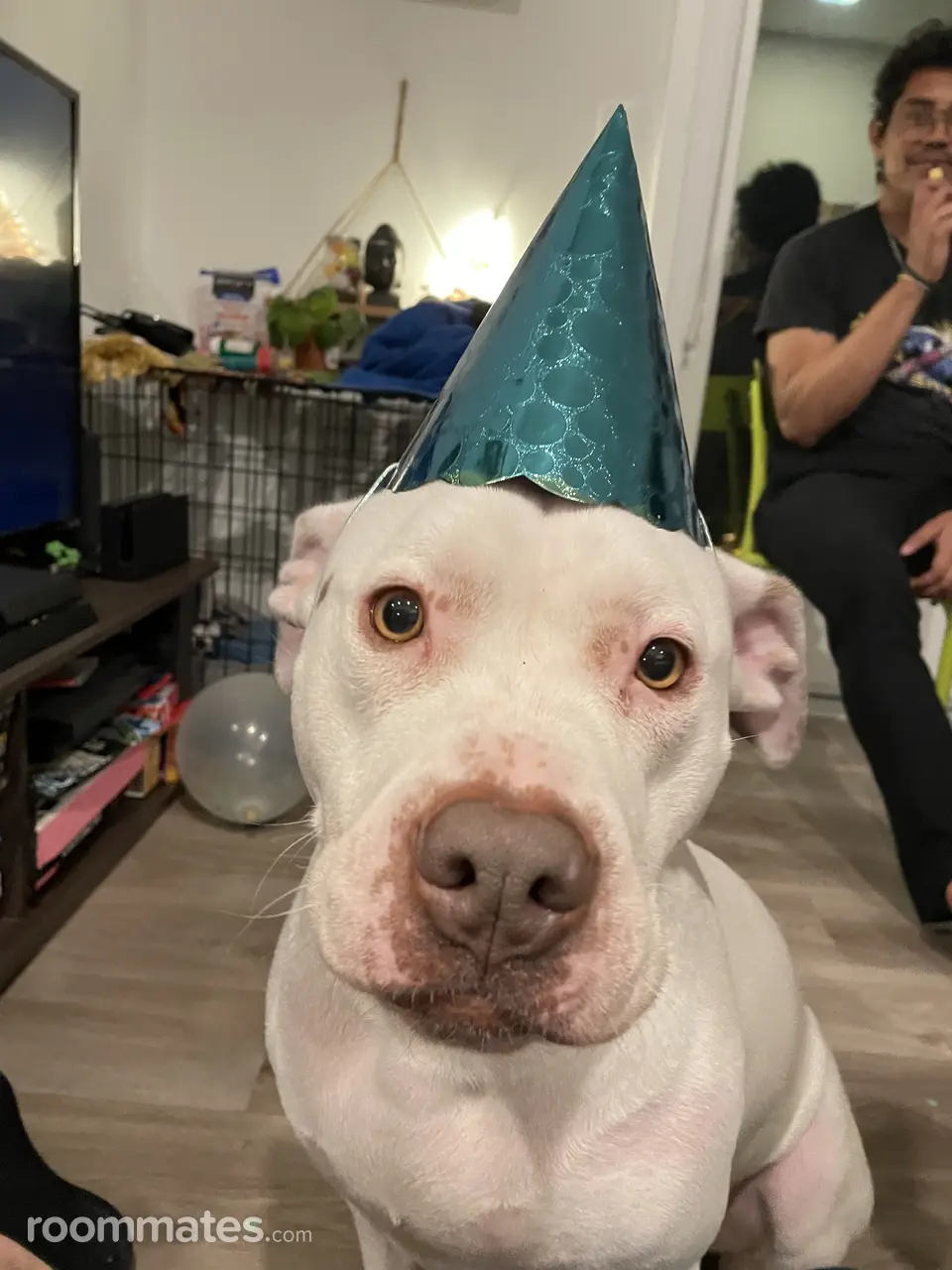 Profile photo 2 of 3