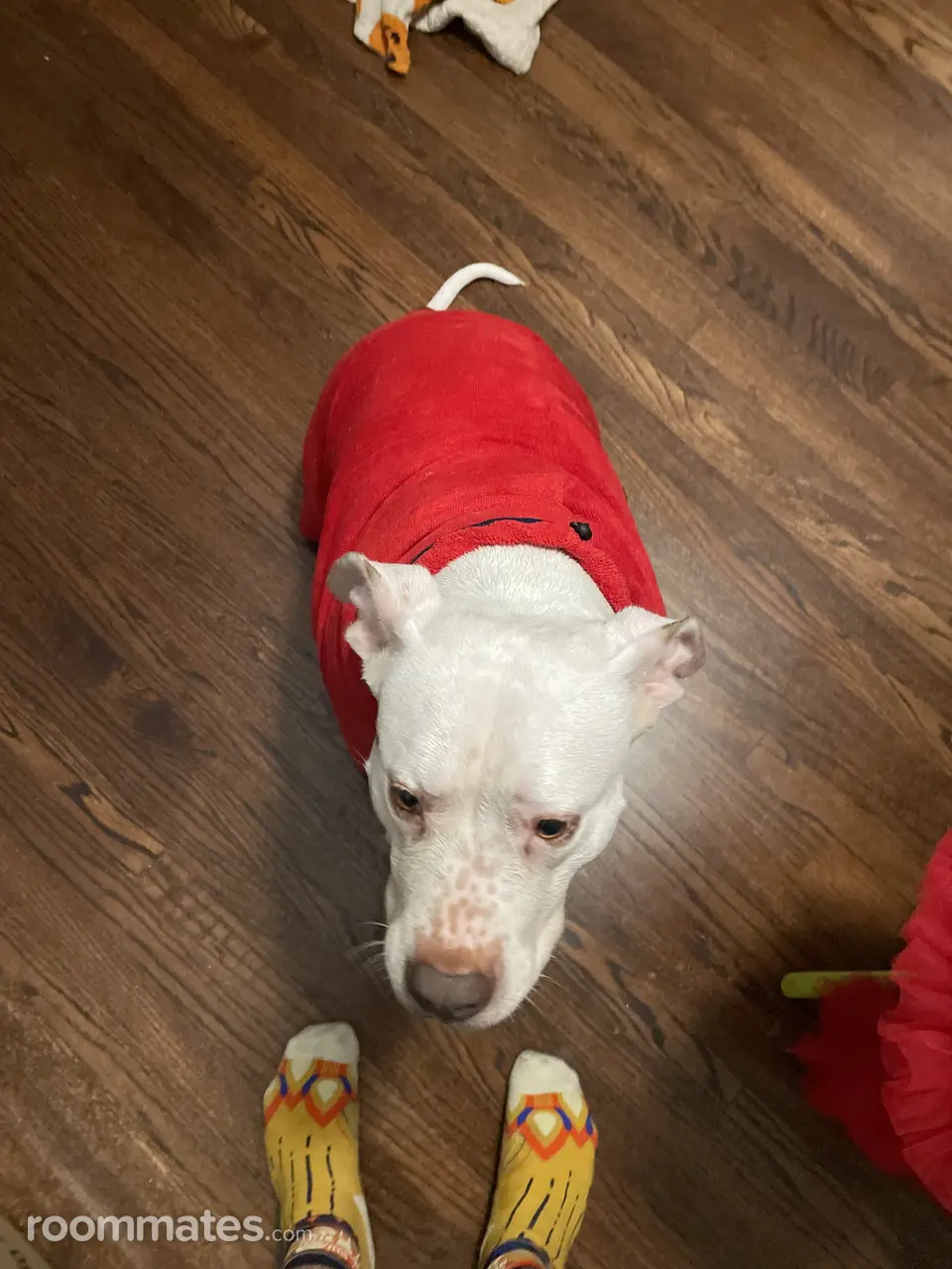 Profile photo 3 of 3