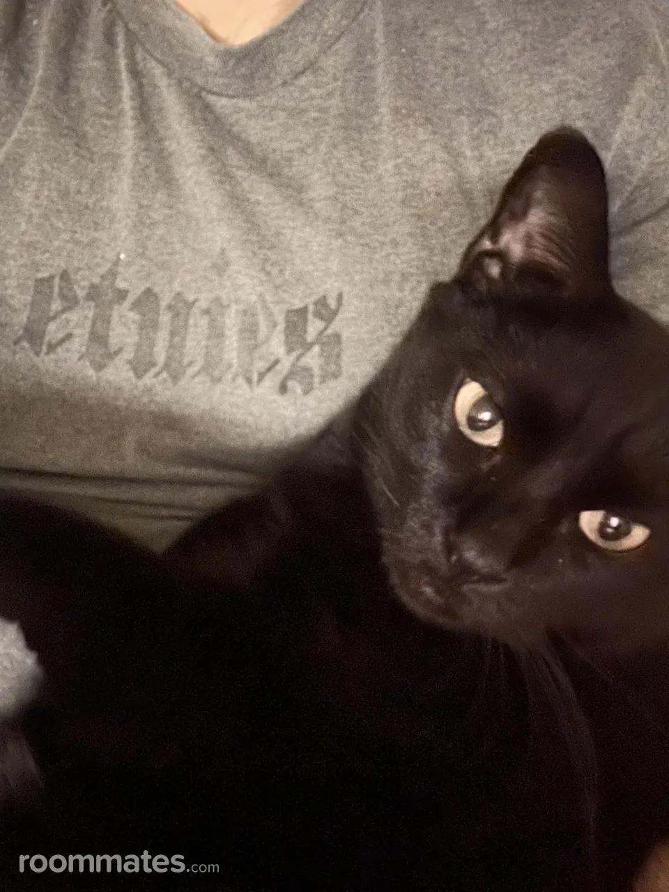 Profile photo 3 of 4