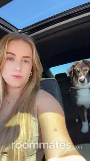 Roommate looking Naples, FL, $1200