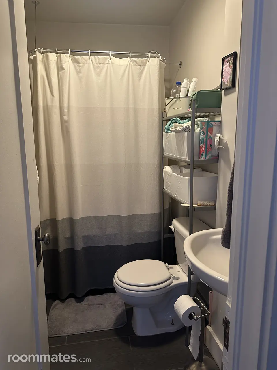 Profile photo 2 of 11