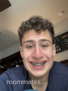 Roommate looking Gainesville, FL, $800