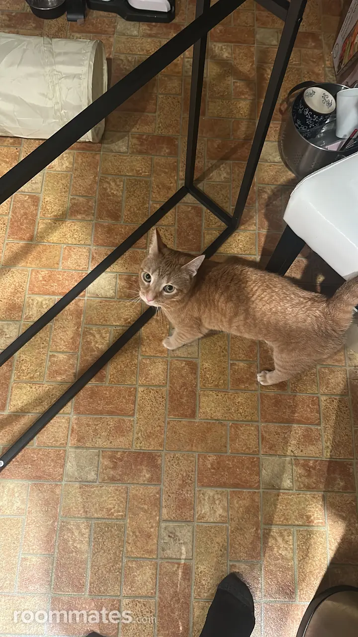 Profile photo 3 of 3