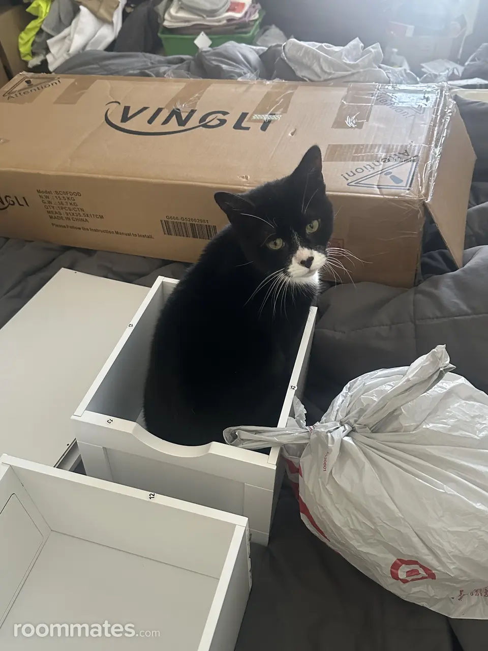 Profile photo 2 of 3