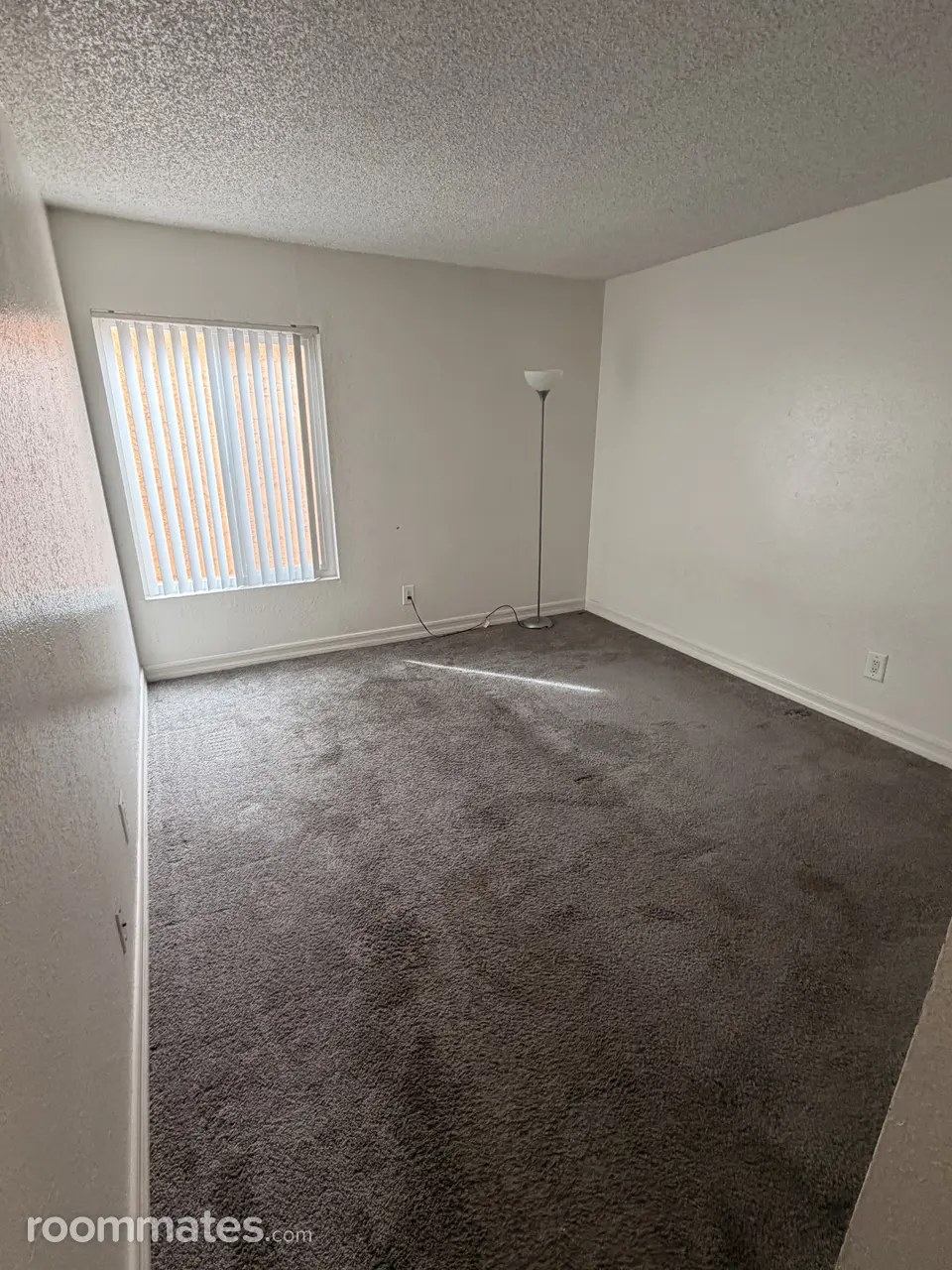 Profile photo 2 of 8