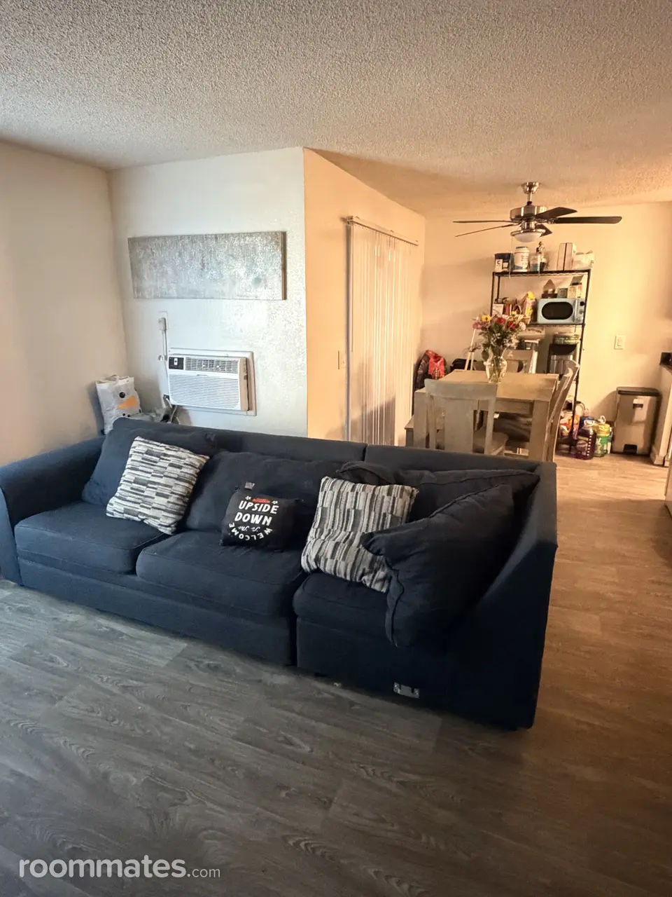 Profile photo 7 of 8