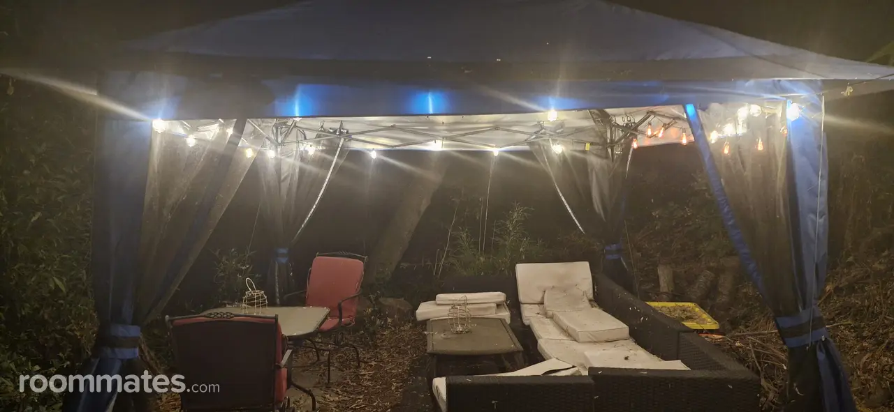 Profile photo 9 of 11