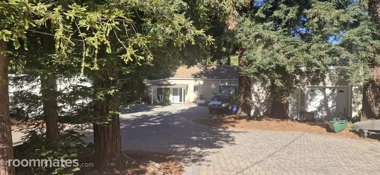 Profile photo 4 of 11