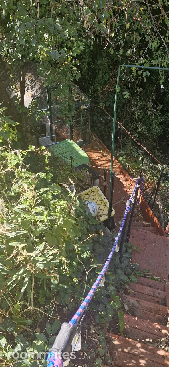 Profile photo 7 of 11