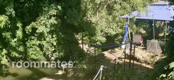 Room for rent in El Sobrante, CA $950, house