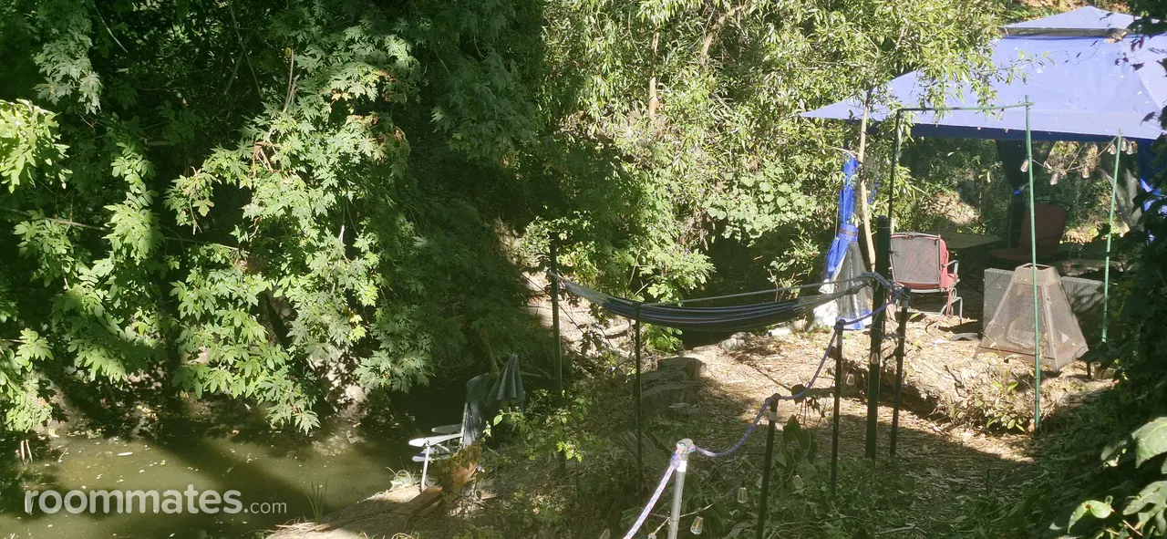 Profile photo 8 of 11