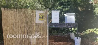 Room for rent in El Sobrante, CA $950, house