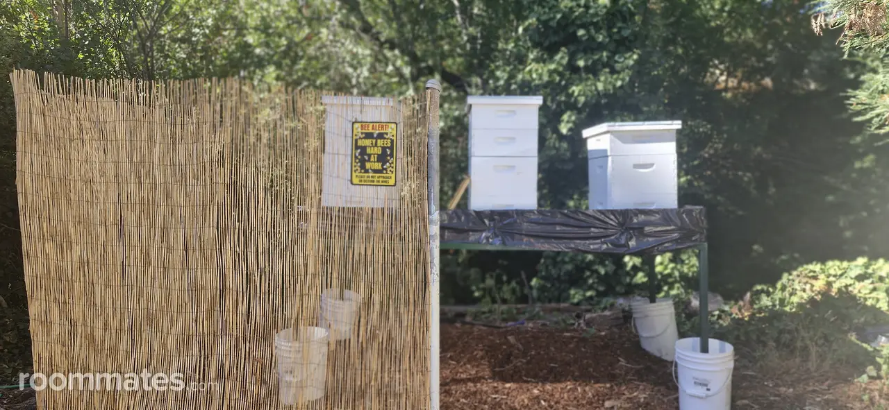 Profile photo 10 of 11