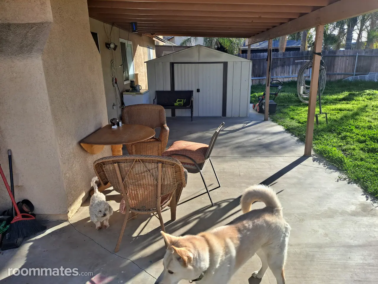 Profile photo 8 of 14