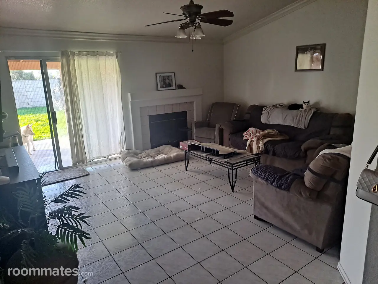 Profile photo 1 of 14