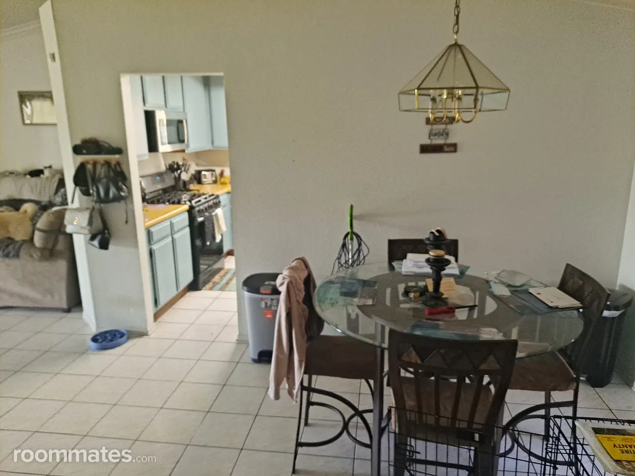 Profile photo 10 of 14