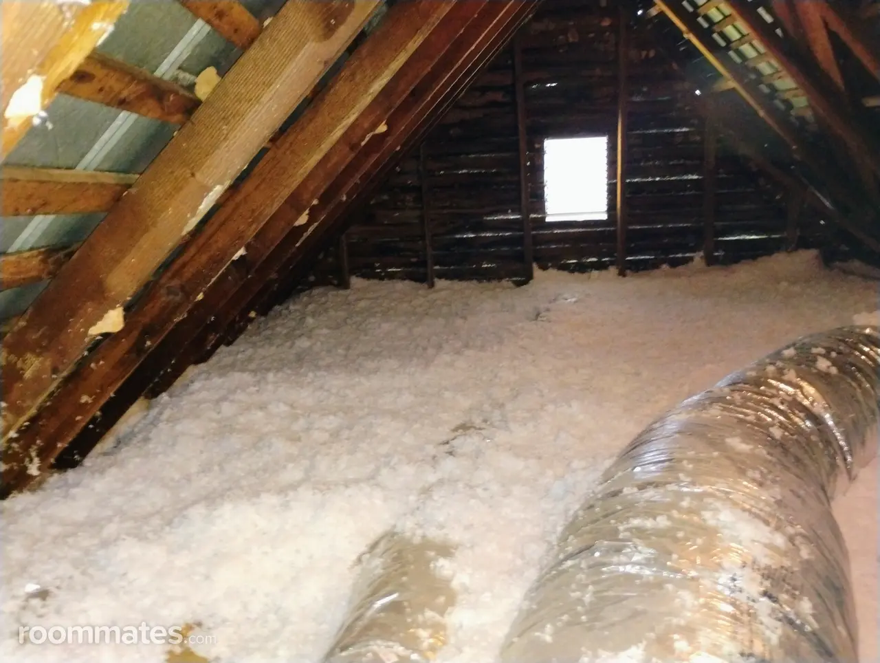 Profile photo 6 of 9