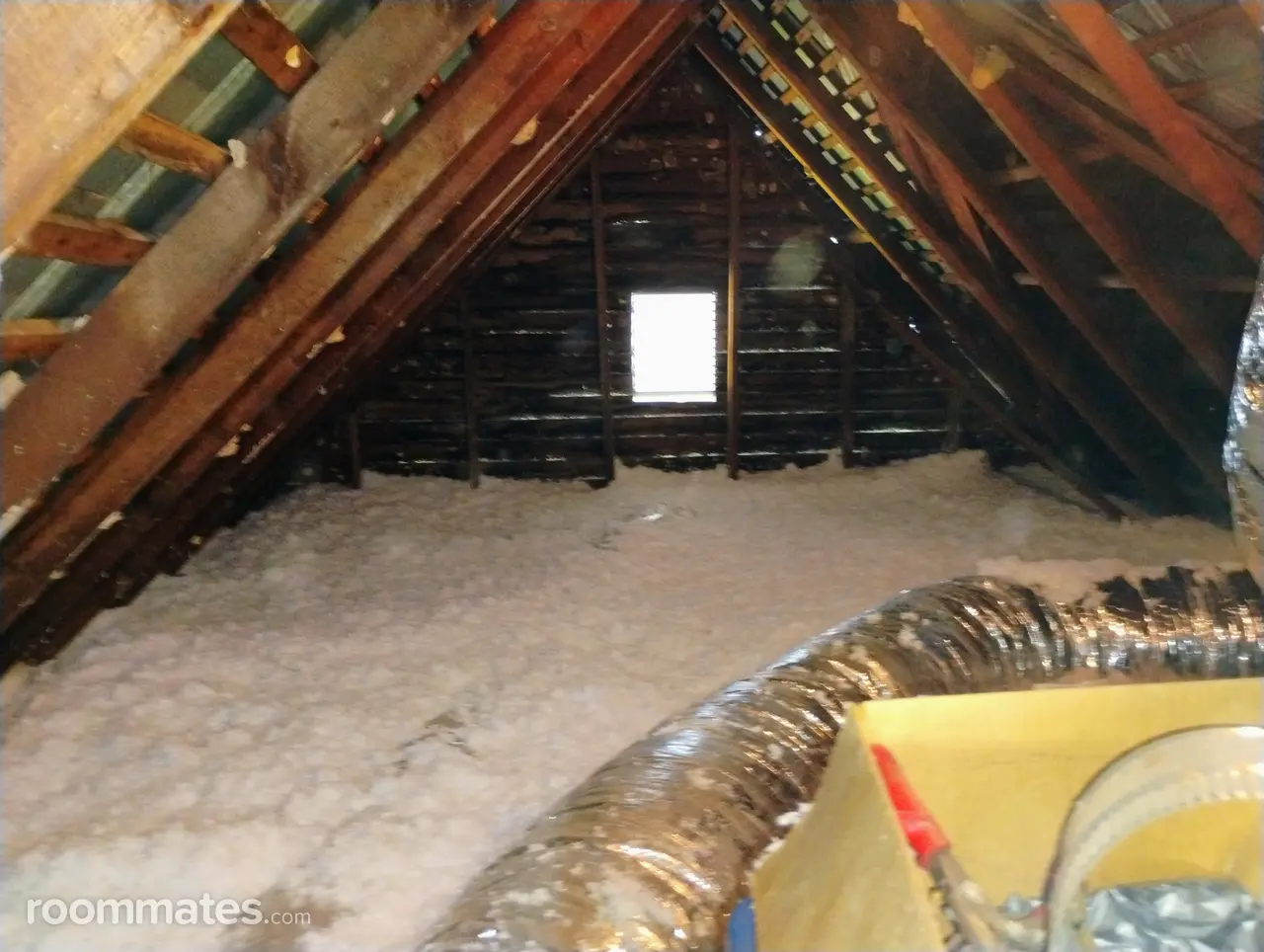 Profile photo 7 of 9