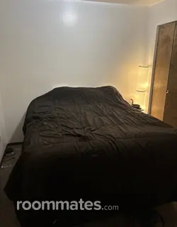 Room for rent in Mansfield, OH $300, apartment