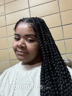 Roommate looking Chicago, IL, $500