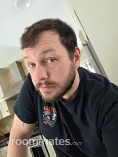 Roommate looking Troy, MI, $1200