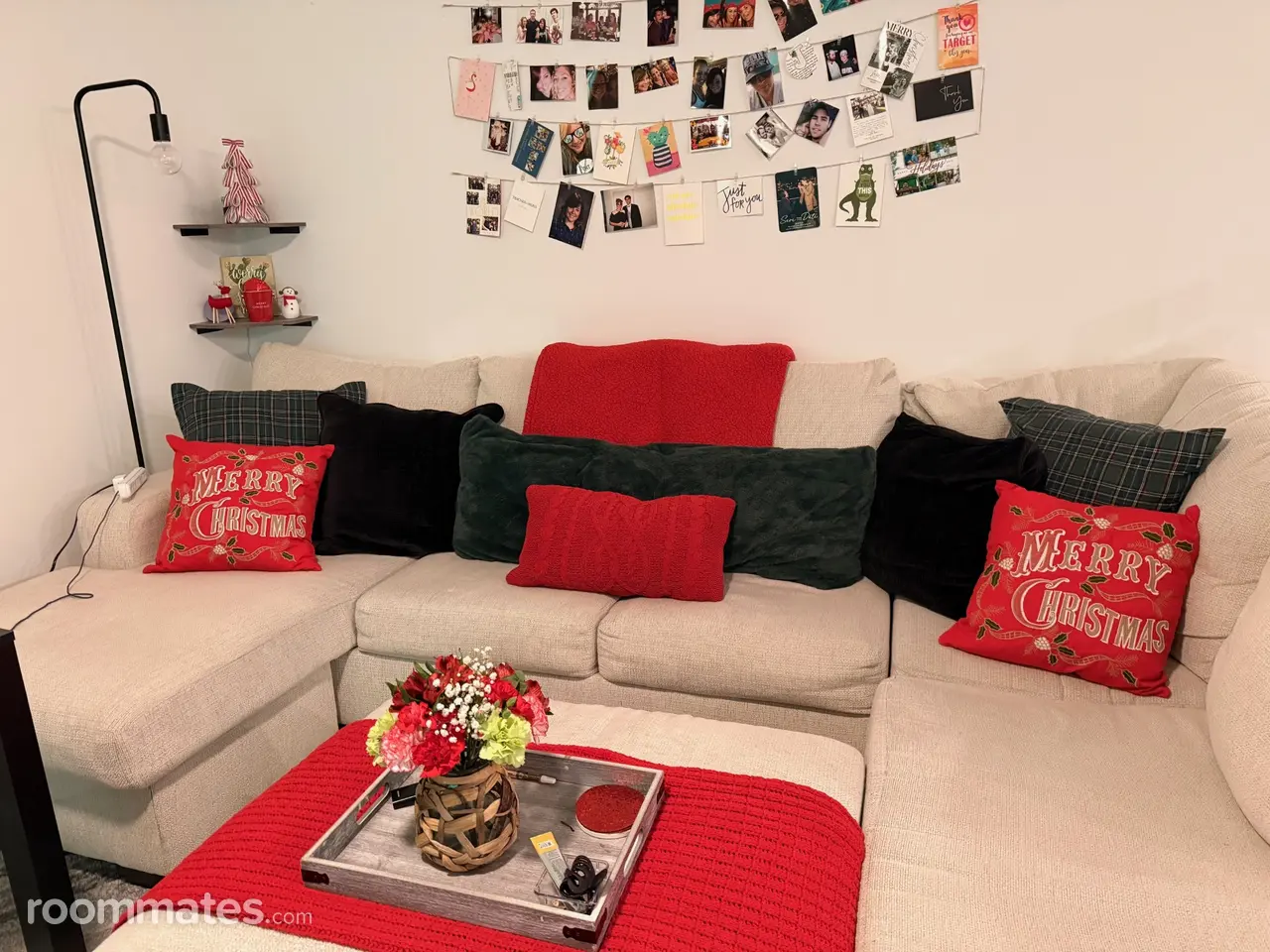 Profile photo 5 of 8