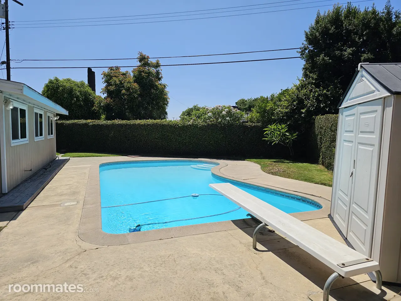 Profile photo 5 of 6