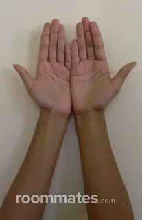 Roommate looking Nashville, TN, $800