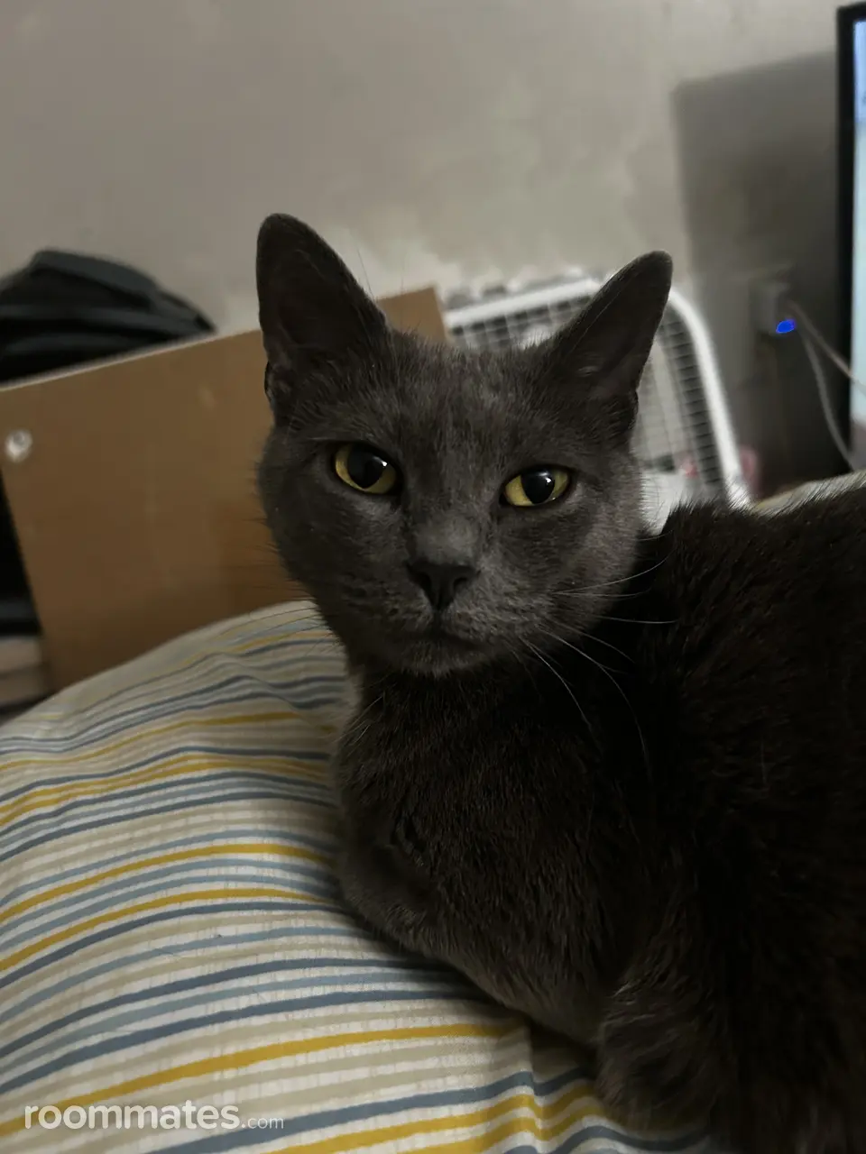 Profile photo 1 of 1