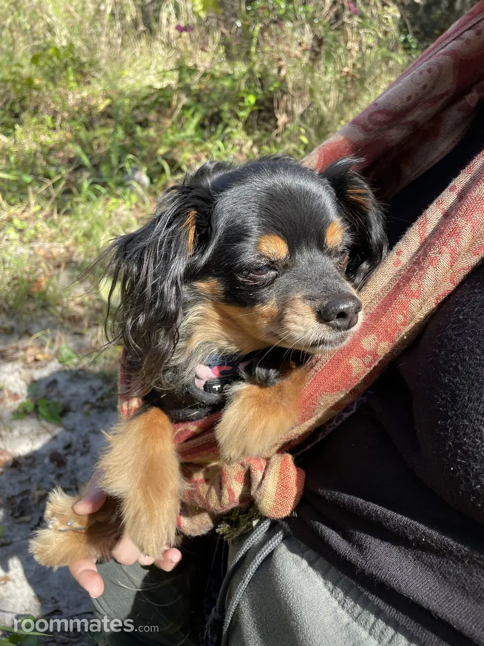 Profile photo 3 of 5