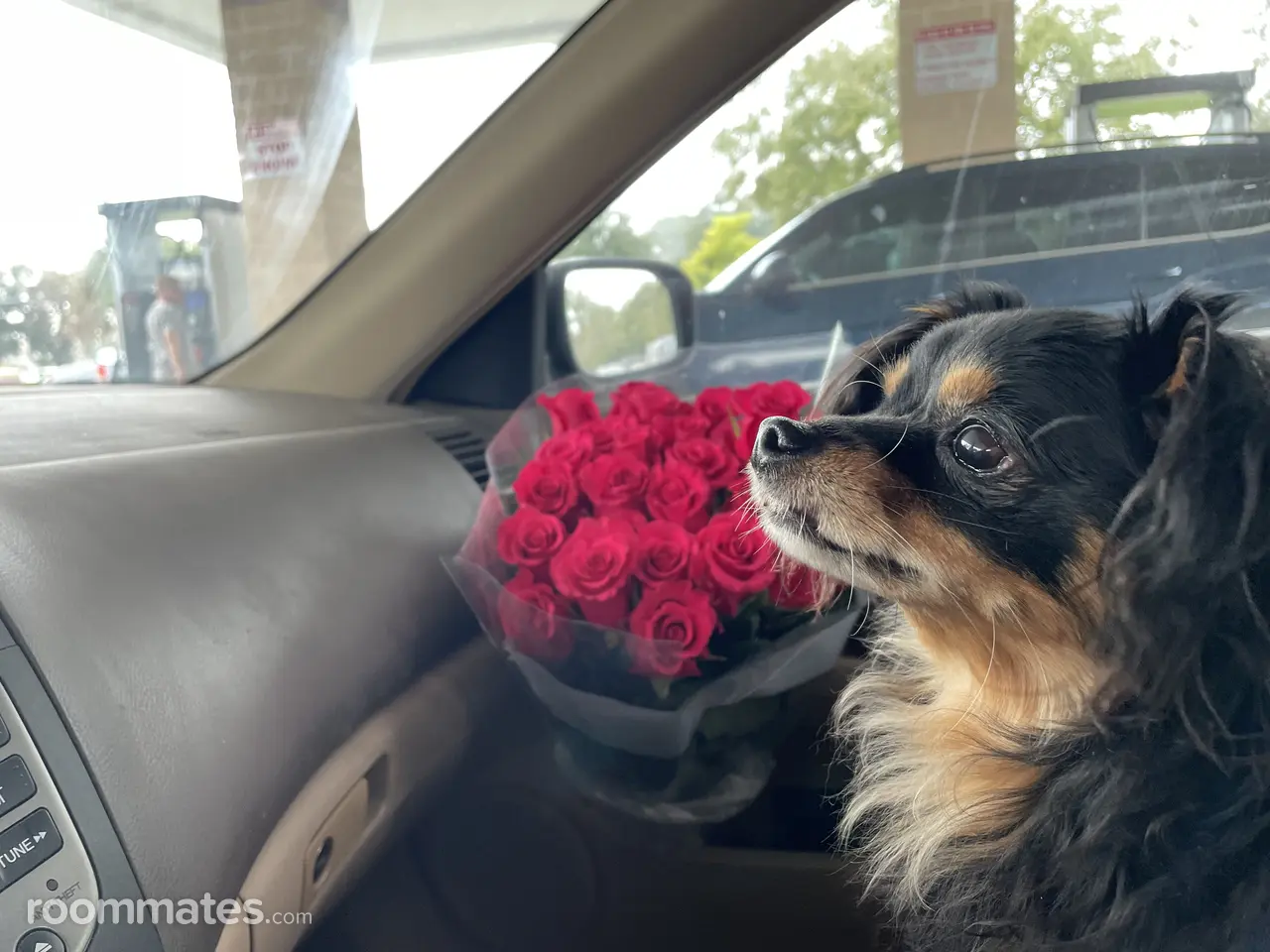 Profile photo 2 of 5