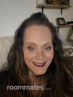 Roommate looking Agawam, MA, $800