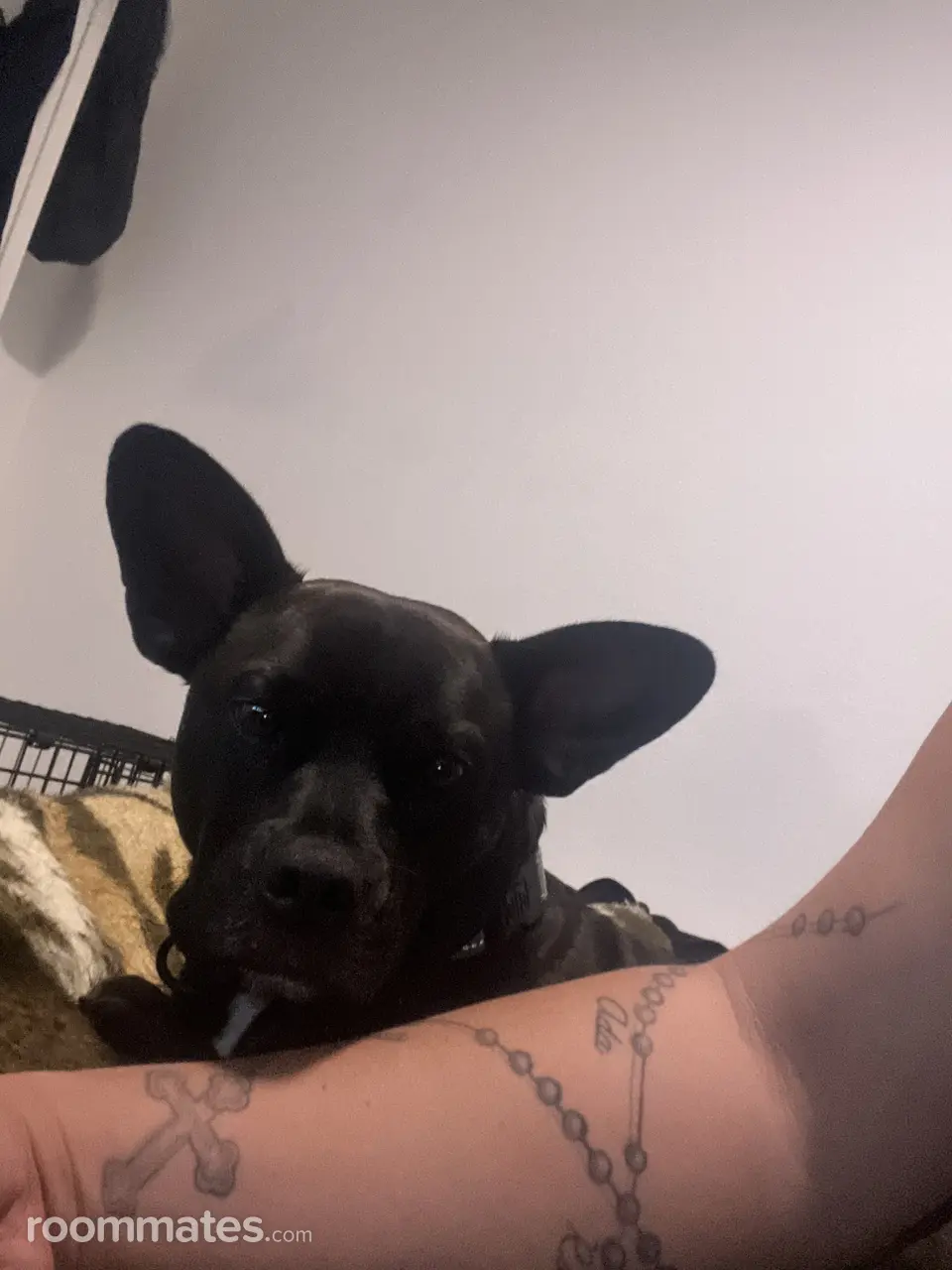 Profile photo 1 of 1