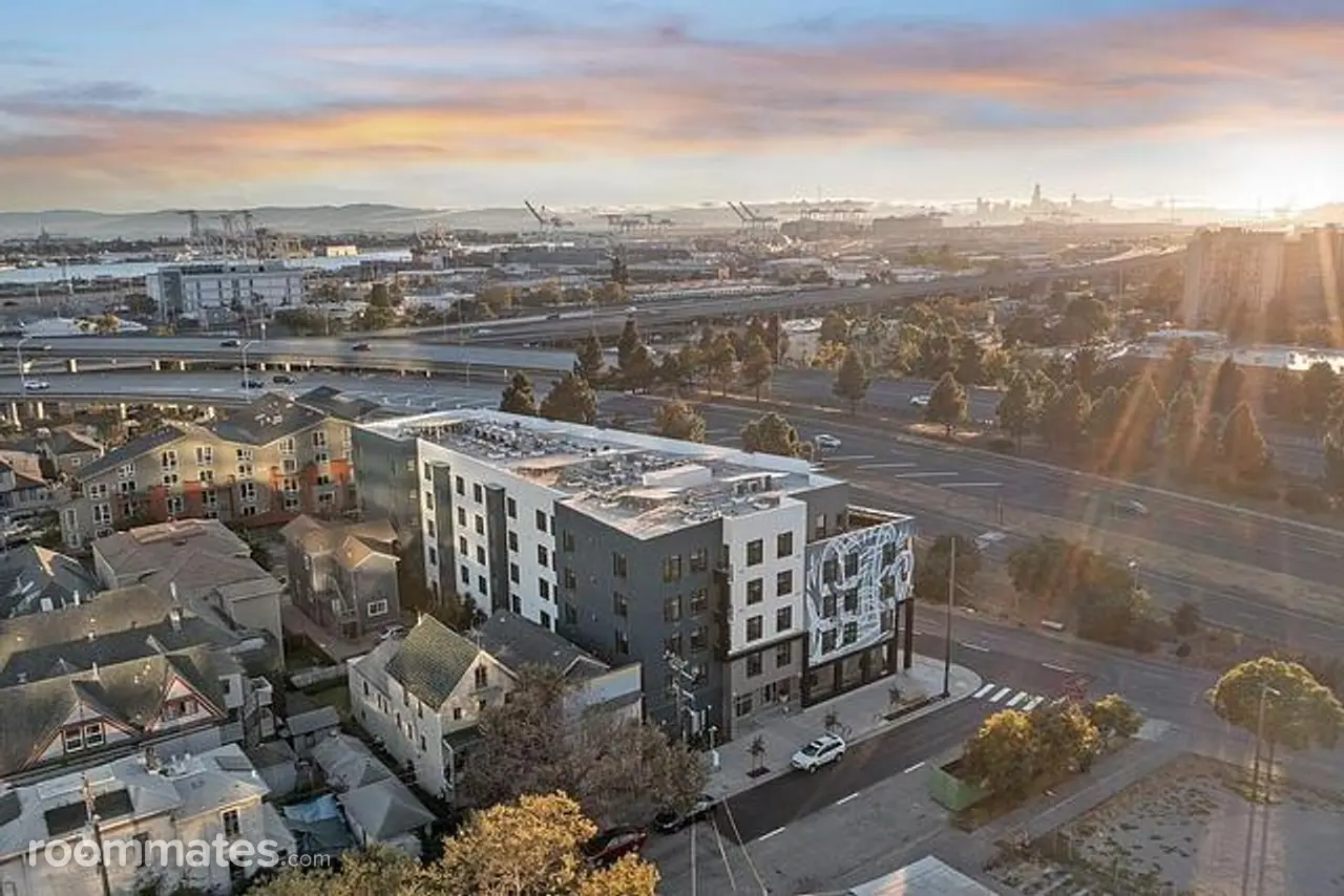 Profile photo 8 of 11