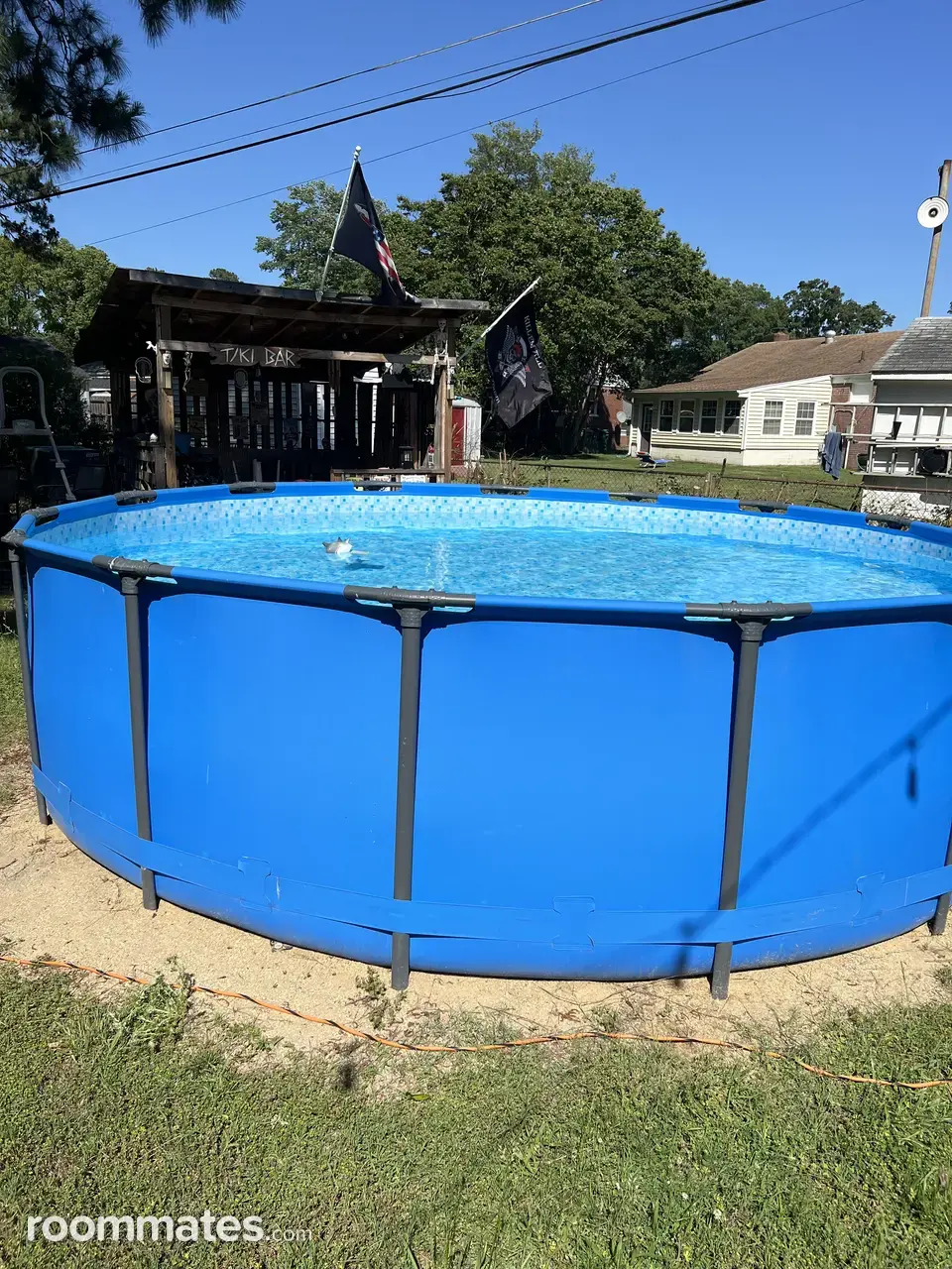 Profile photo 7 of 9