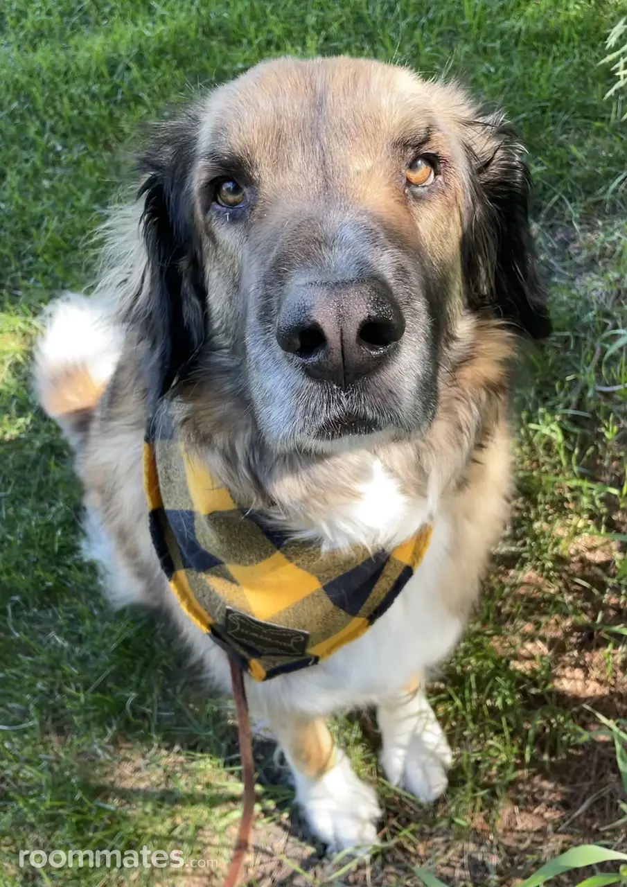 Profile photo 3 of 3