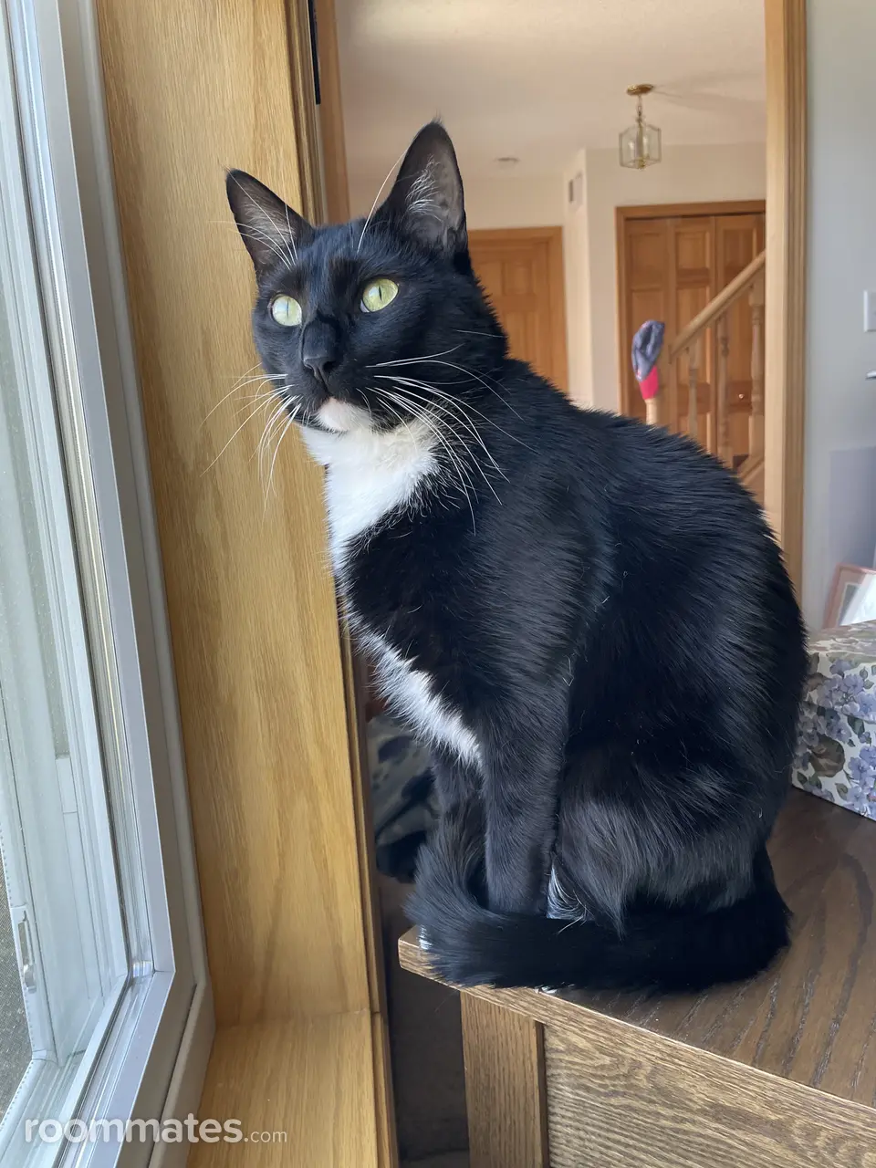 Profile photo 2 of 3