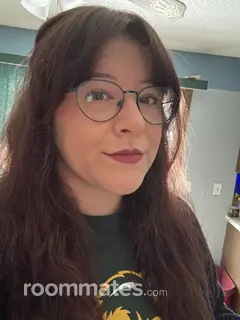 Roommate looking Minneapolis, MN, $800