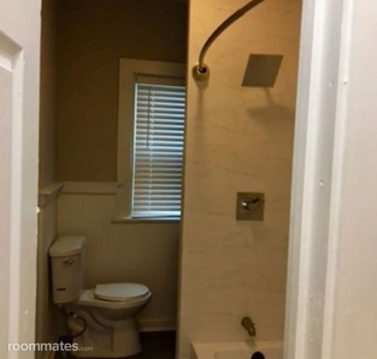 Profile photo 2 of 13