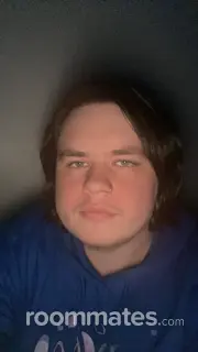 Roommate looking Norwalk, OH, $500