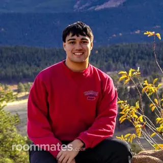 Roommate looking Fort Collins, CO, $1400