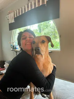 Roommate looking Asheville, NC, $800