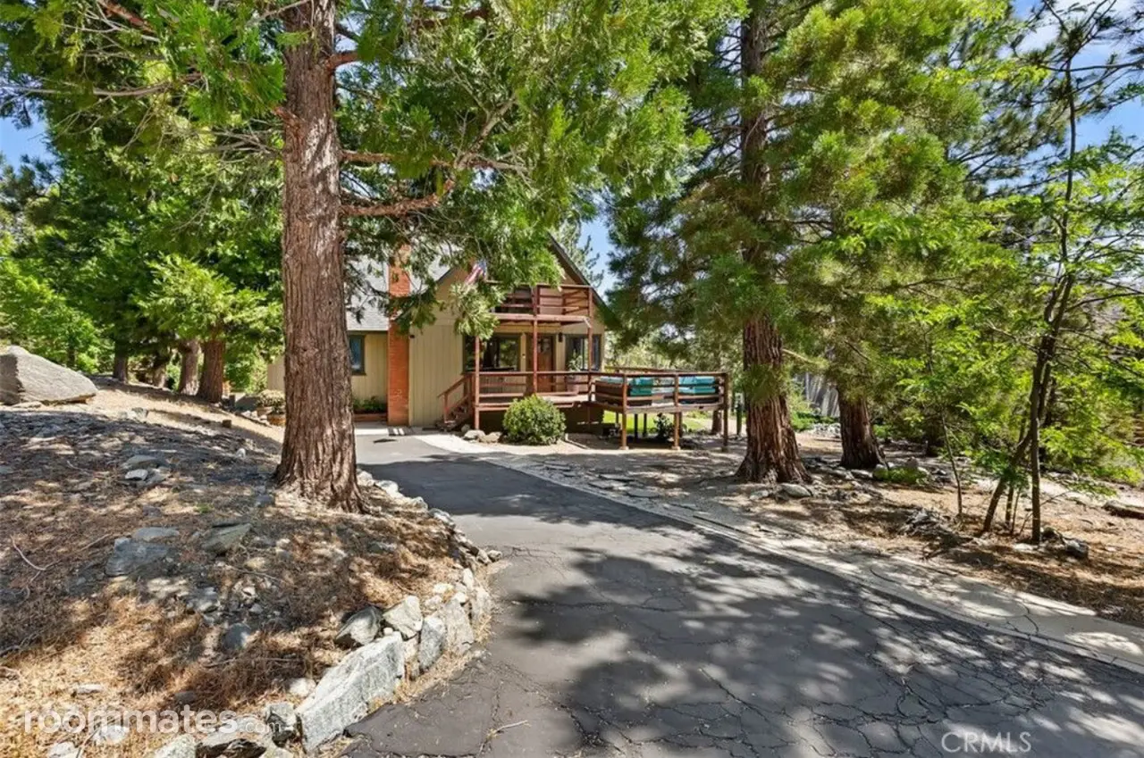 Profile photo 1 of 10