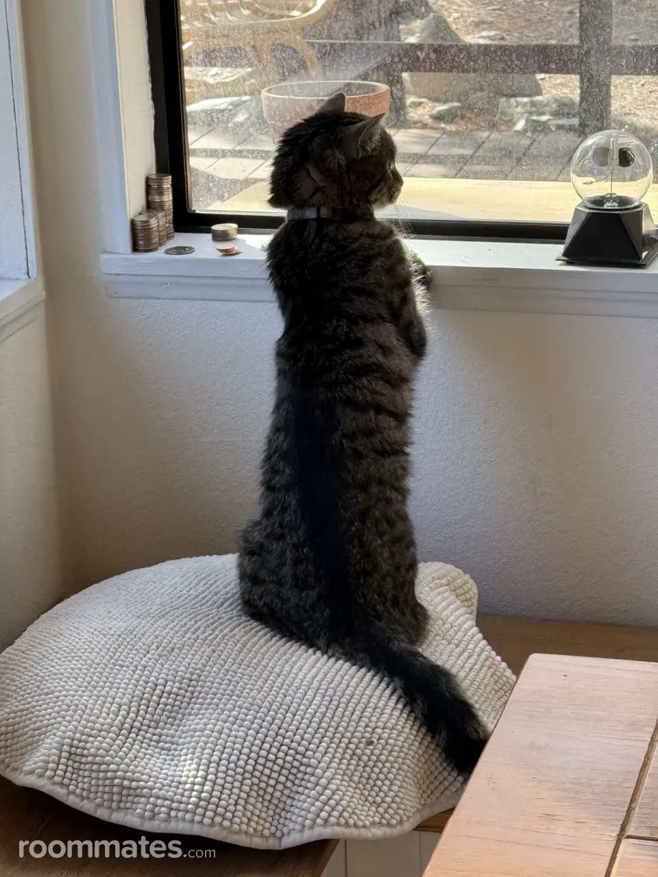 Profile photo 9 of 10