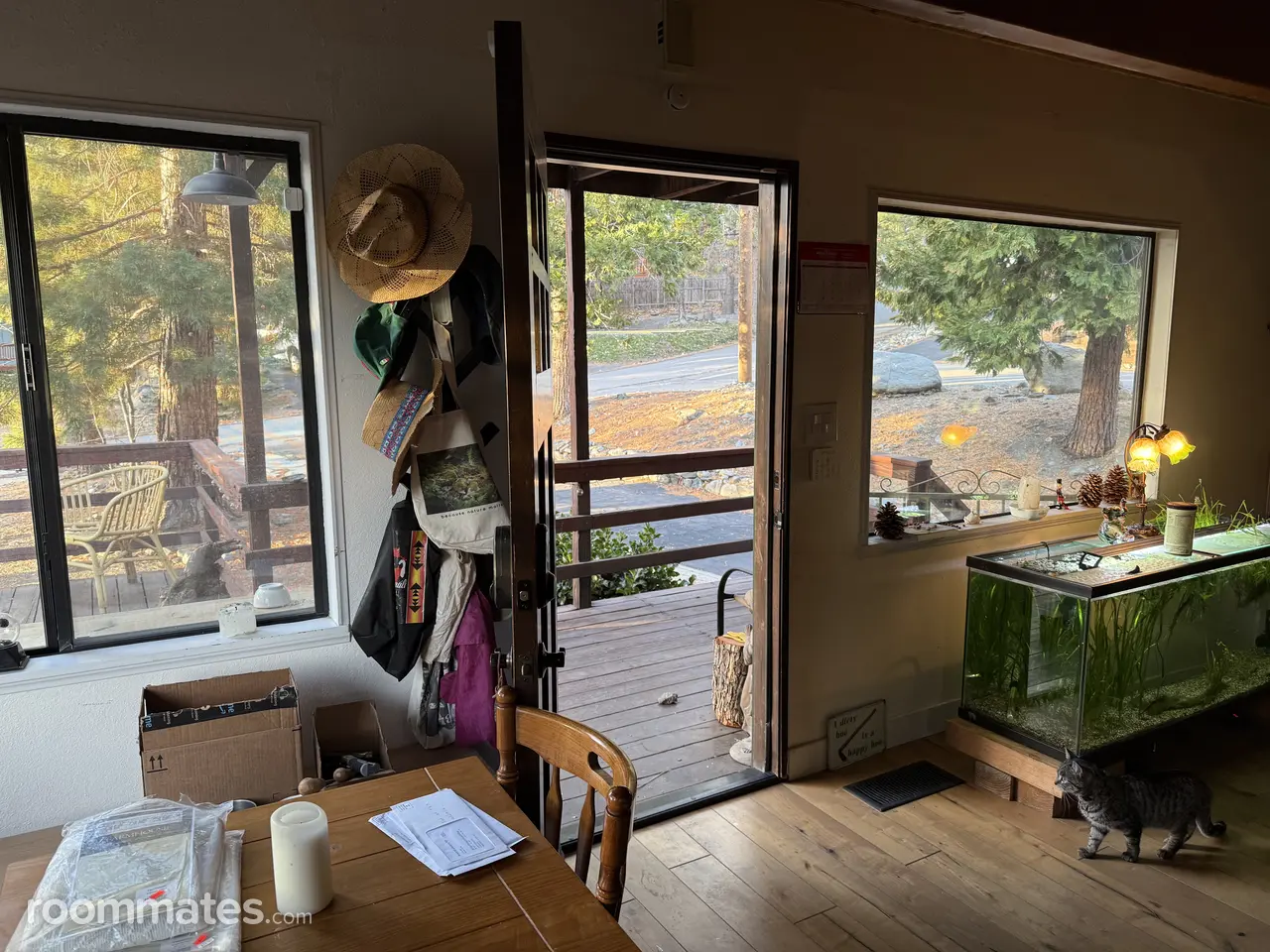 Profile photo 2 of 10