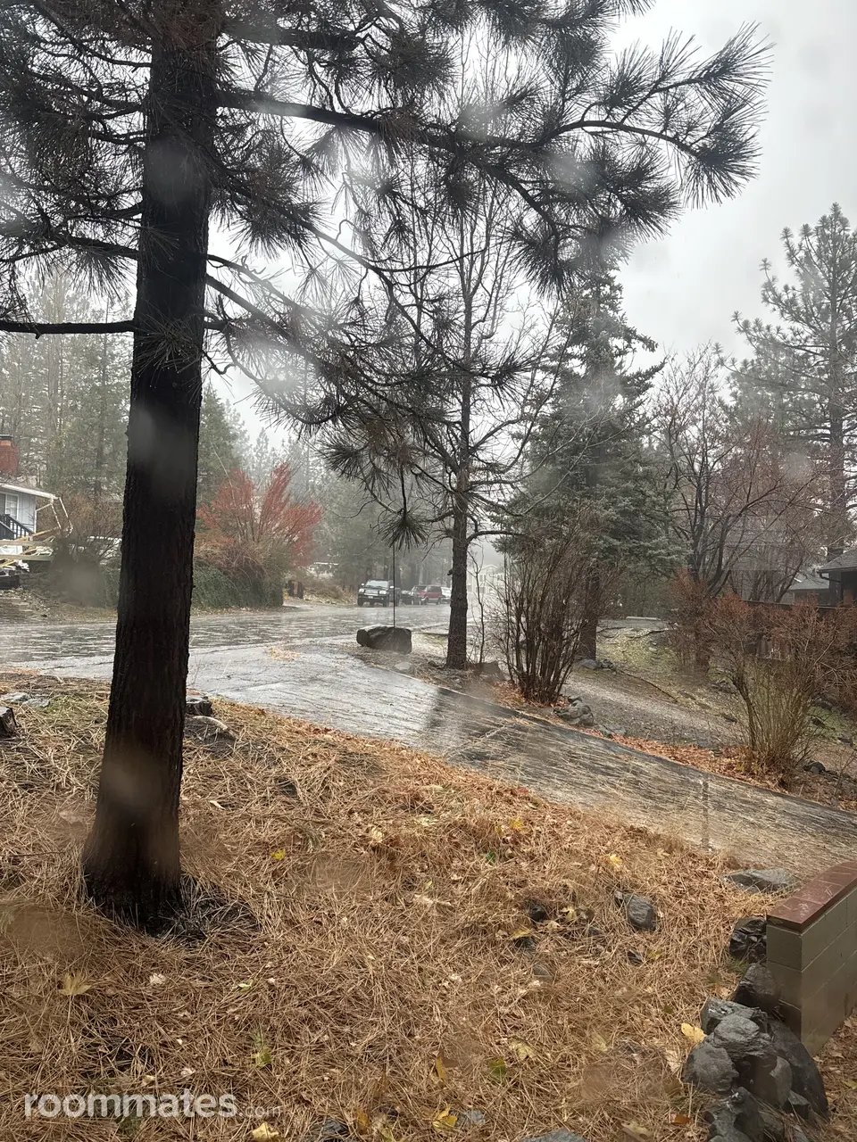 Profile photo 6 of 10