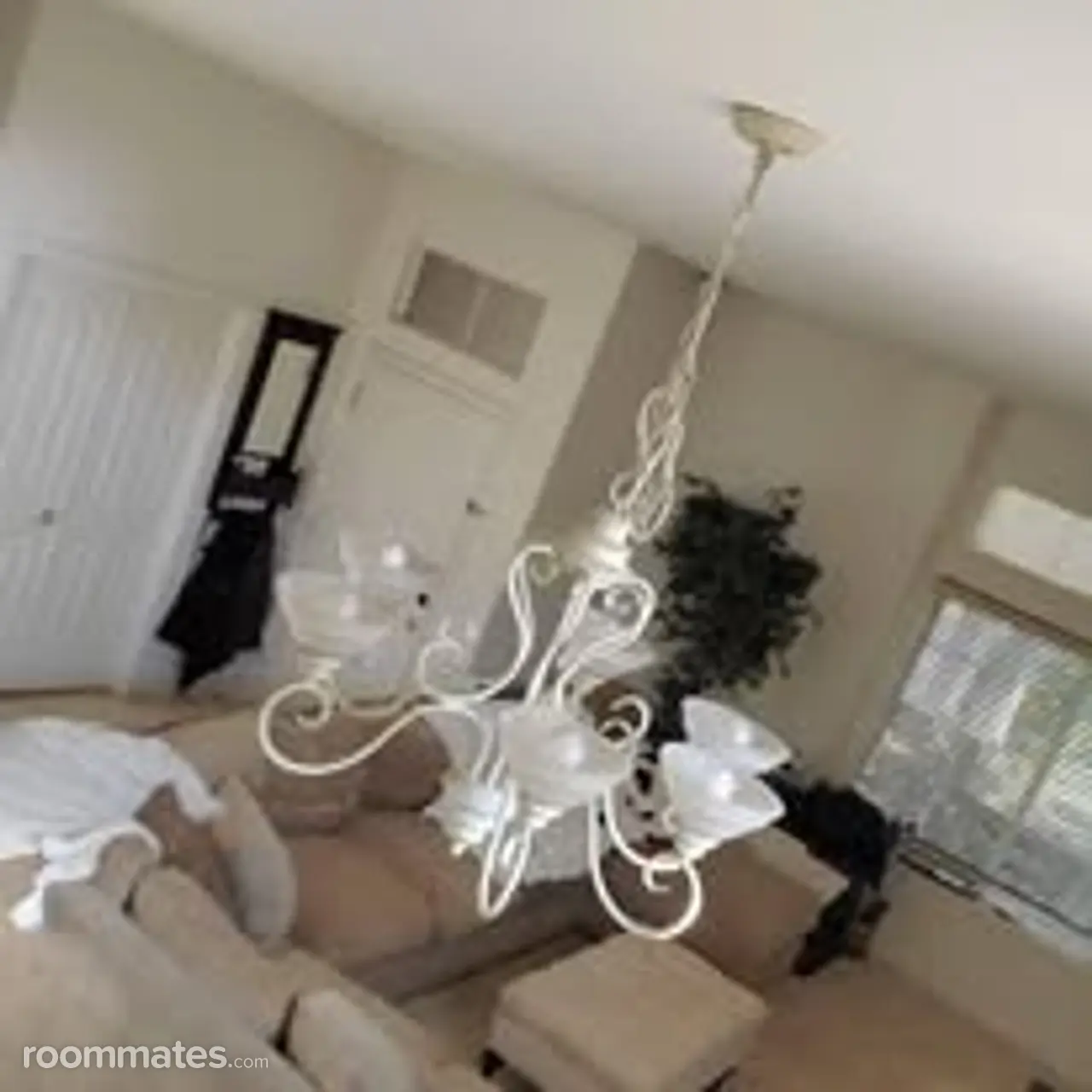 Profile photo 2 of 17